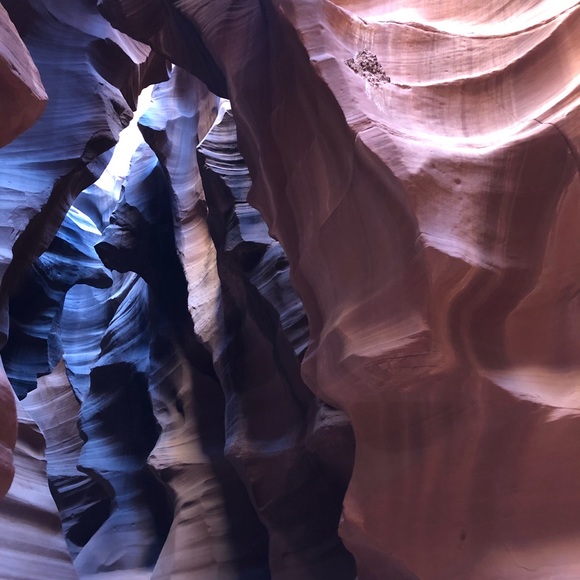 Meet your Posher, Miranda - Picture 2 of 2